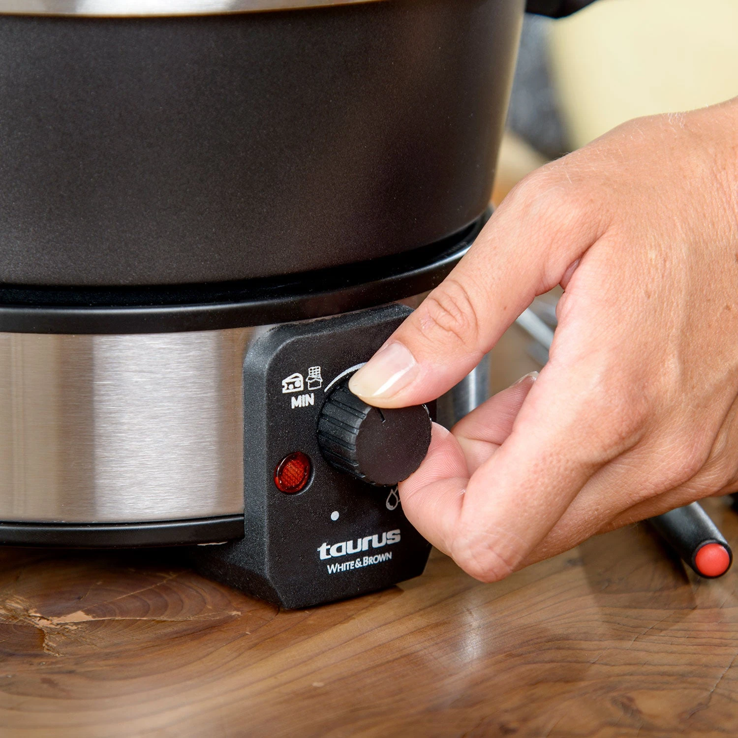 Taurus FF2 - Imagen 7