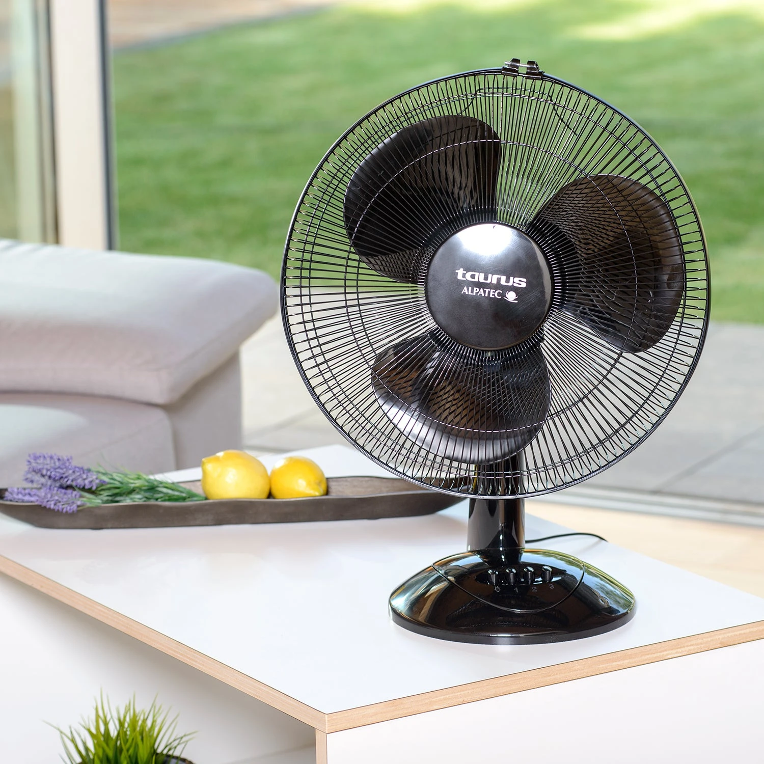 Taurus GRECO 16 ELEGANCE - Imagen 2