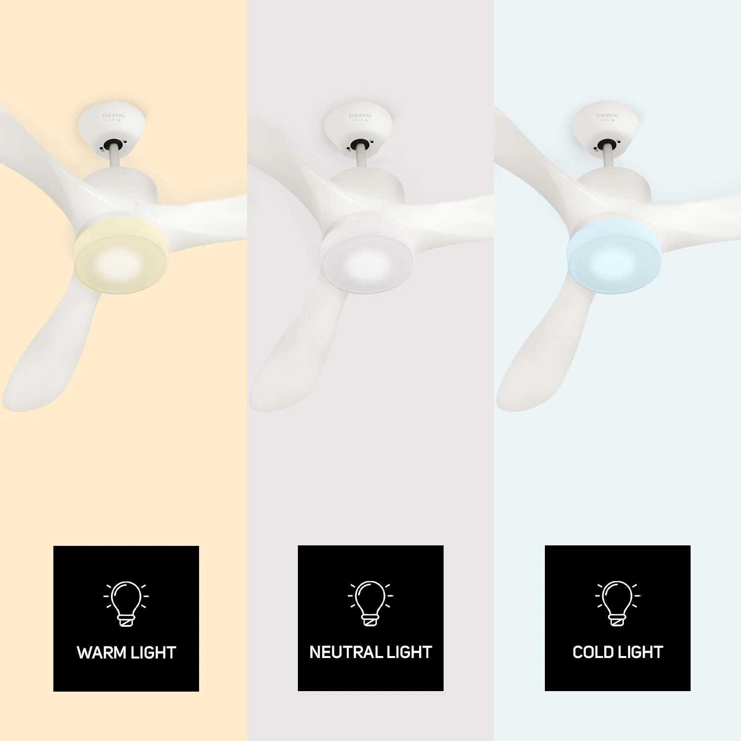 Taurus FRESKO PURE 3B - Imagen 4