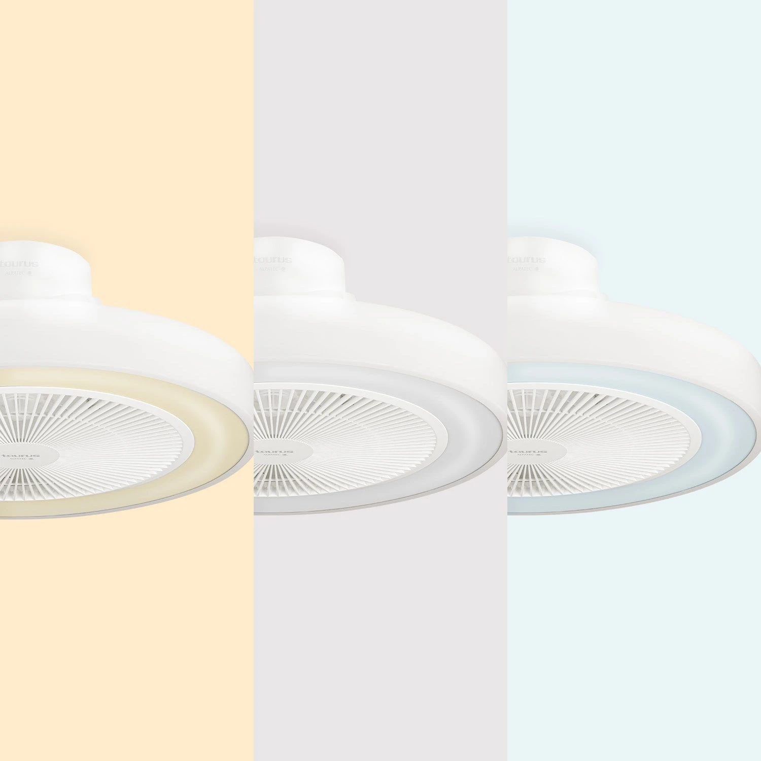 Taurus FRESKO INVISIBLE - Imagen 6