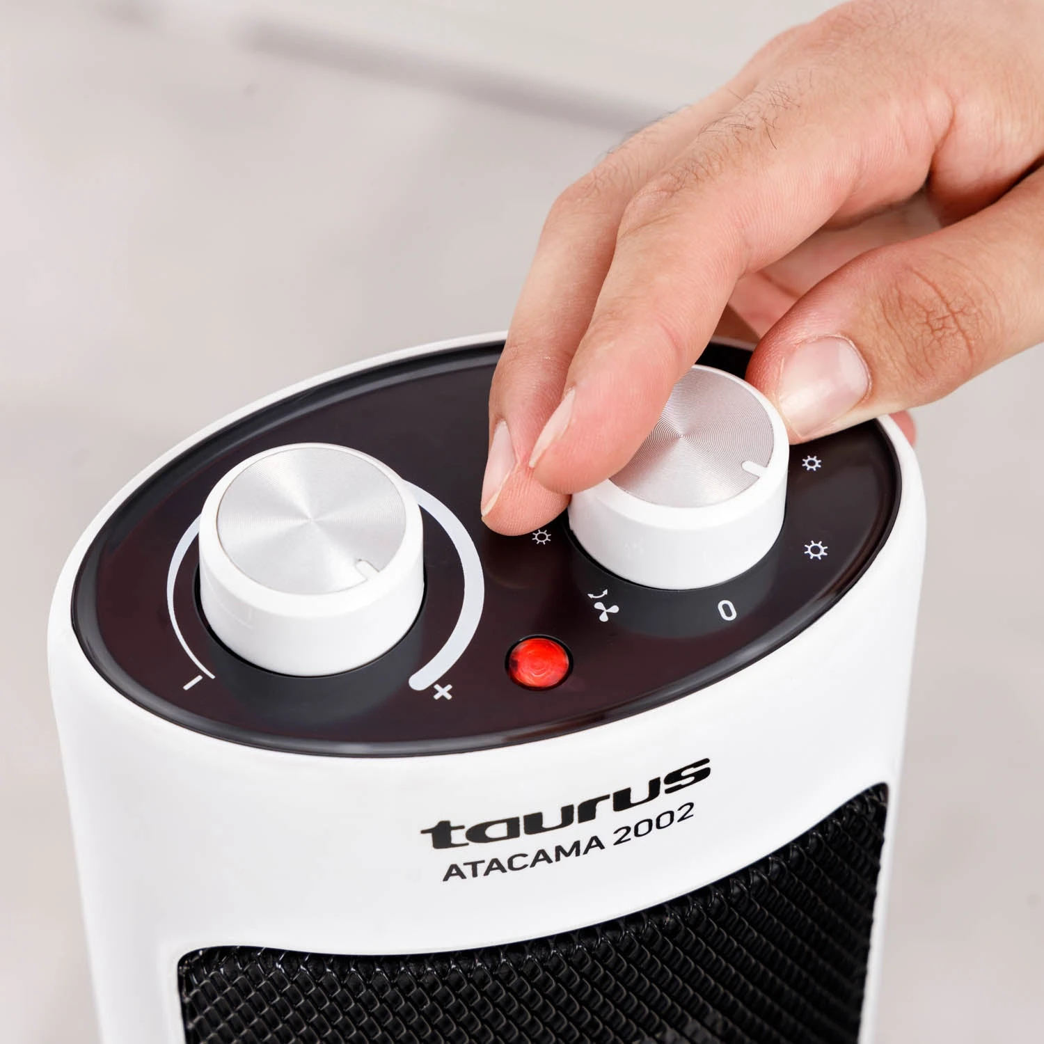 Taurus ATACAMA 2002 - Imagen 4