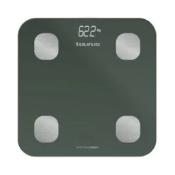 Taurus INCEPTION CONNECT