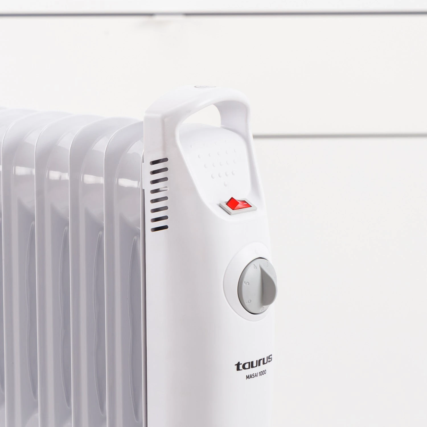 Taurus MASAI 1000 - Imagen 3