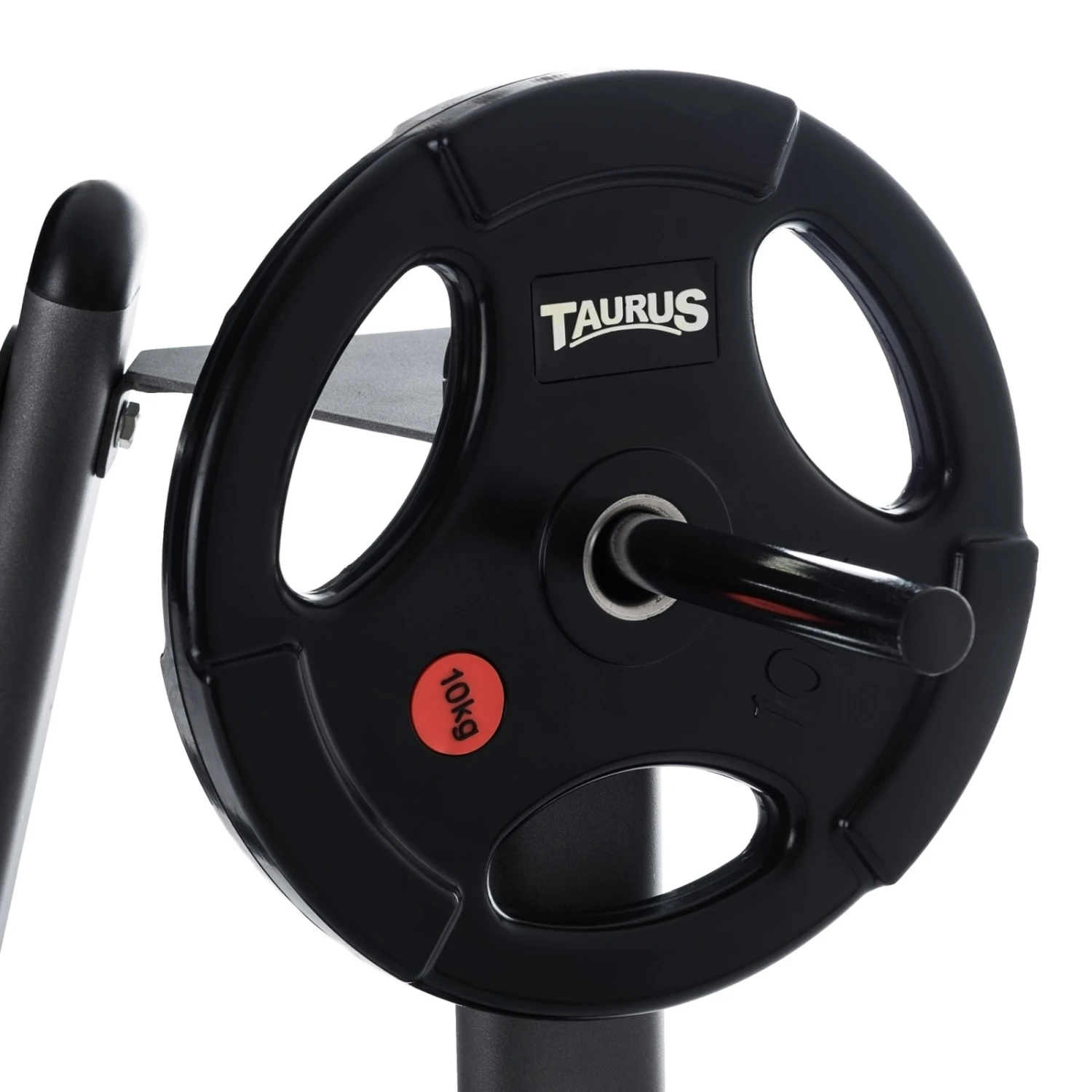 Taurus Soporte Para Discos - Fitshop - Imagen 4